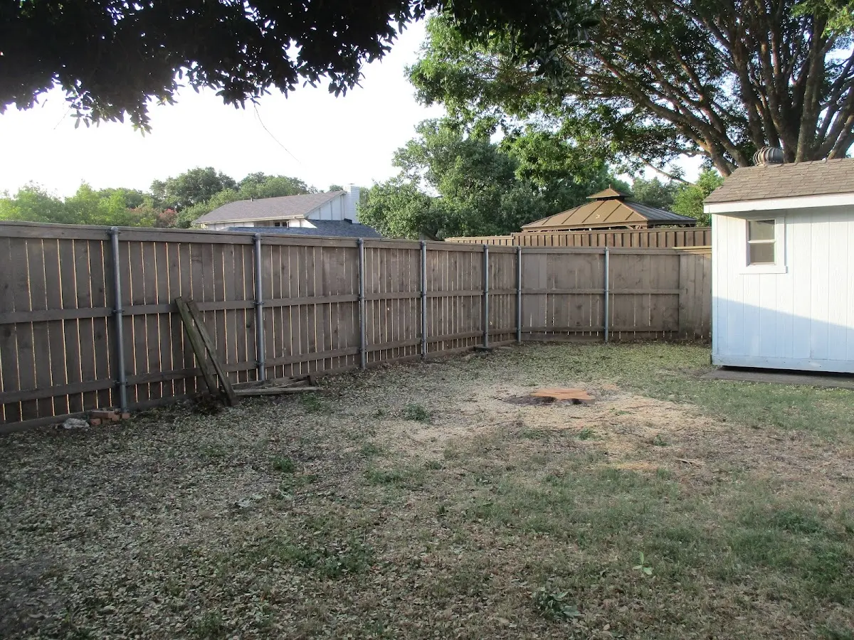 Cleared yard after professional tree removal in Sandstone